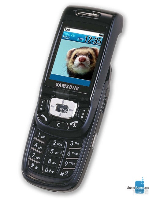 Samsung SGH-D500