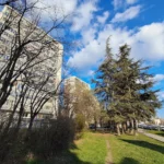 سعر و مواصفات Samsung Galaxy A25 5G: سعر سامسونج a25 في مصر 21 20240322164328