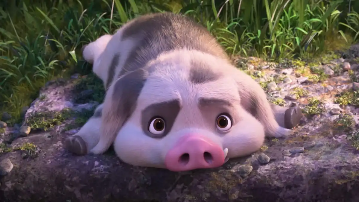 Moana 2 the pig