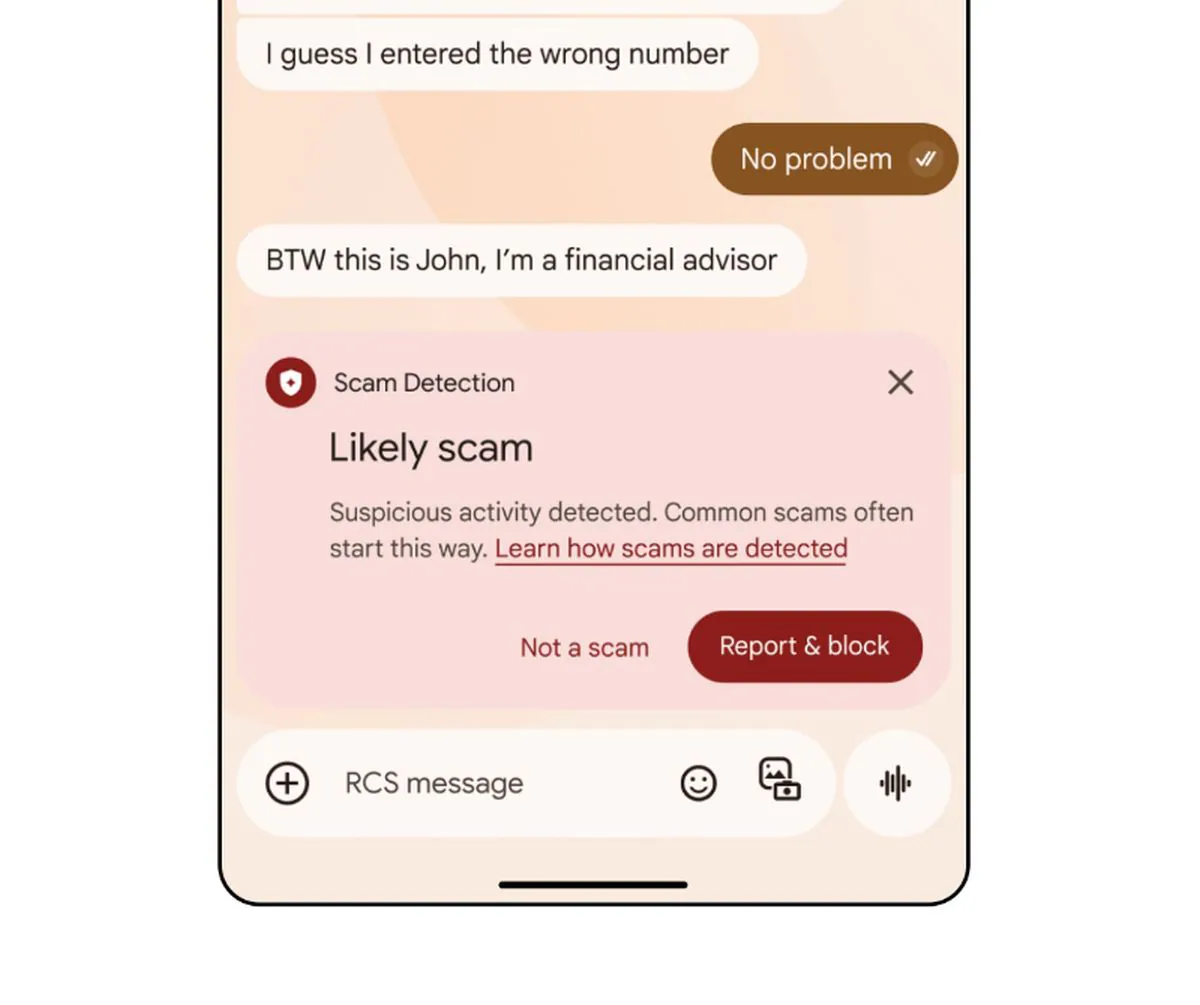 scam detection messages google 1741163853281