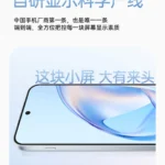 OnePlus 13T display info