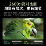 Xming Q5 Neo Plus 2