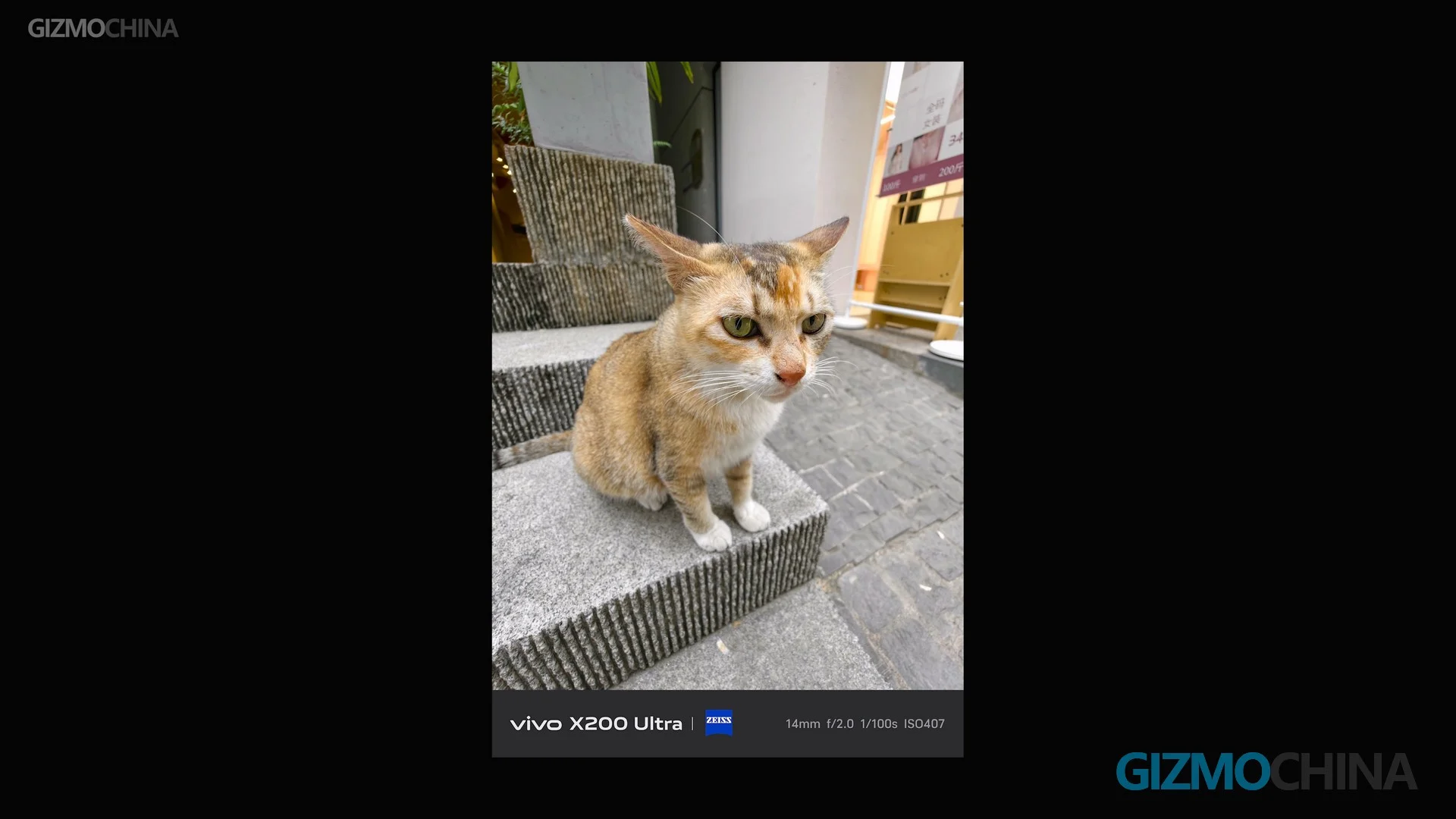 vivo X200 Ultra Camera Test 5