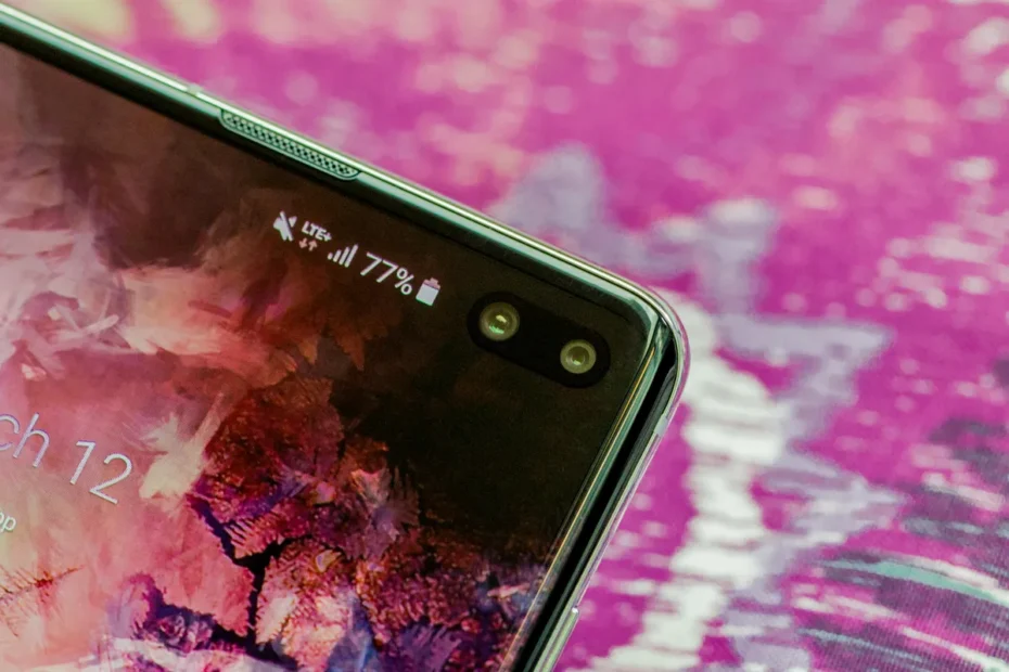 galaxy s10 plus macro 1