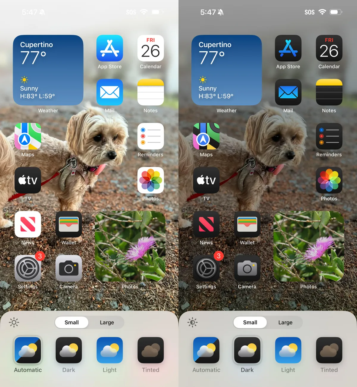 ios18 settings home icons dark 2up 1