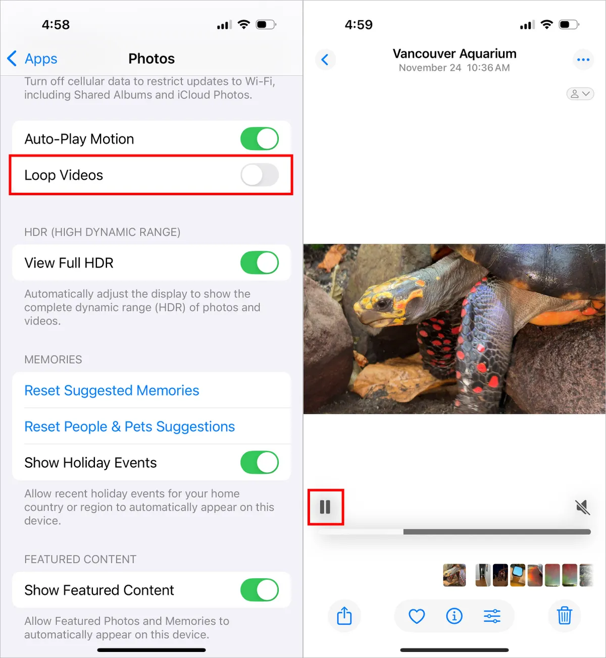 ios18 settings photos loop video 2up