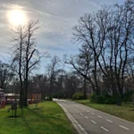 سعر سامسونج a35 في مصر و مواصفاته: تليفون متوسط 9 20240324152806