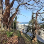 سعر سامسونج a35 في مصر و مواصفاته: تليفون متوسط 6 20240324155149