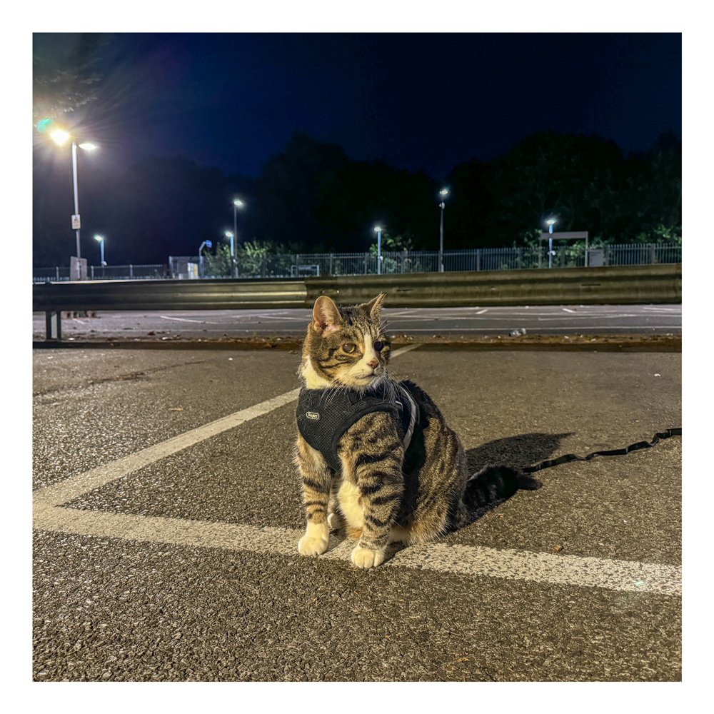 سعر iphone 15 pro max egypt: المراجعة الكاملة 14 Ali