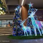 IMG20231023182439 1536x1152 1