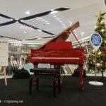 IMG20231023182607 1536x1152 1