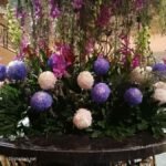 IMG20231025190321 1536x1152 1