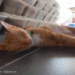 IMG20231031150141 1536x1152 1