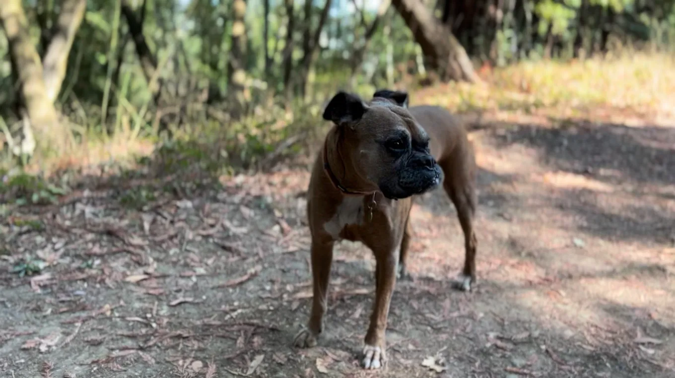 مراجعة كاملة لهاتف ايفون 13 4 IMG 0350 6c