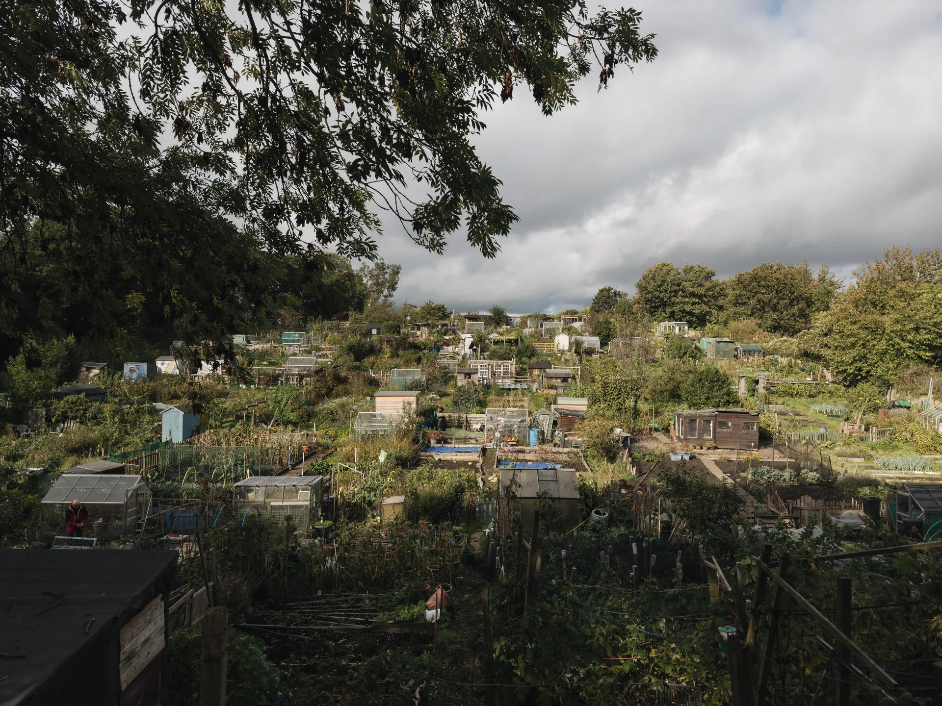 نصائحي الاحترافية ستساعدك على التقاط أفضل الصور بهاتف iPhone 3 img 0468