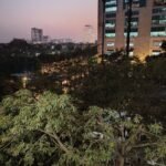 ريلمي 14 برو بلس: الملك الجديد للفئة المتوسطة؟ 20 img 20250116 wa0073