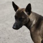 ريلمي 14 برو بلس: الملك الجديد للفئة المتوسطة؟ 19 img 20250116 wa0077