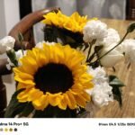 ريلمي 14 برو بلس: الملك الجديد للفئة المتوسطة؟ 17 img 20250116 wa0089