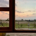 سعر iphone 11 في مصر: المراجعة الكاملة 25 iphone11review 28