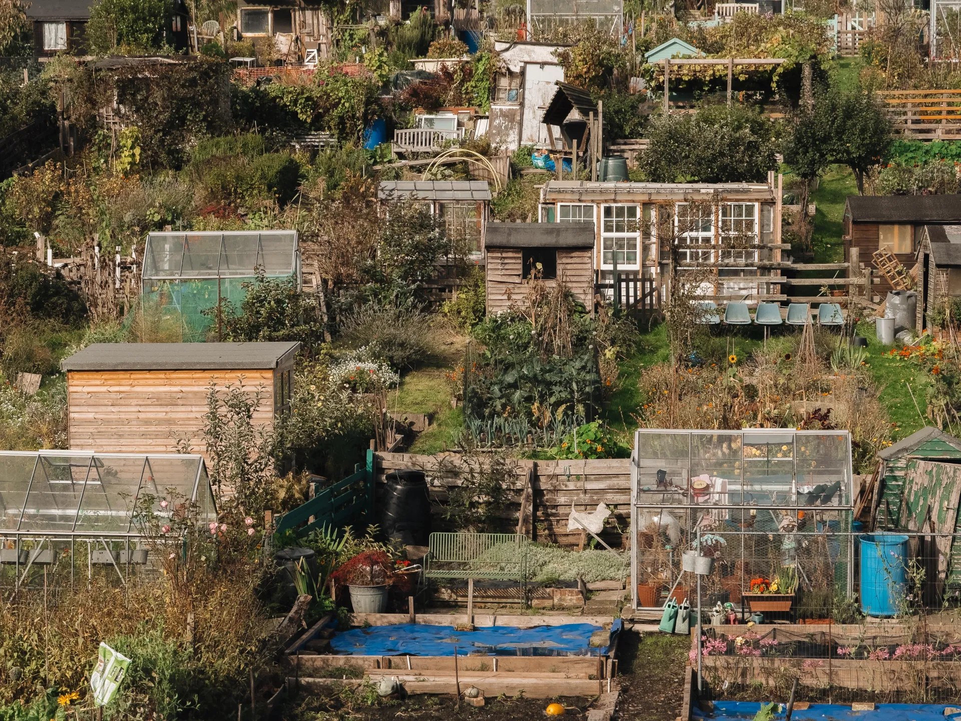 نصائحي الاحترافية ستساعدك على التقاط أفضل الصور بهاتف iPhone 4 skye iphone 14 6