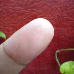 سعر اوبو a95 في مصر اليوم: مواصفات oppo a95 33 14 8