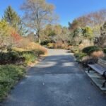 iphone 12 pro max سعر و مواصفات iphone 12 pro max 13 1605884175 20201114 154237356 ios thumb