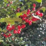 iphone 12 pro max سعر و مواصفات iphone 12 pro max 12 1605884190 20201114 154504886 ios thumb