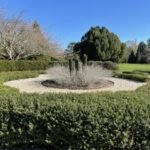 iphone 12 pro max سعر و مواصفات iphone 12 pro max 11 1605884209 20201114 154717551 ios thumb