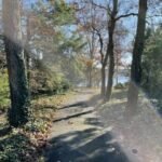 iphone 12 pro max سعر و مواصفات iphone 12 pro max 20 1605884345 20201114 155830476 ios thumb