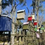 iphone 12 pro max سعر و مواصفات iphone 12 pro max 19 1605884368 20201114 160300661 ios thumb