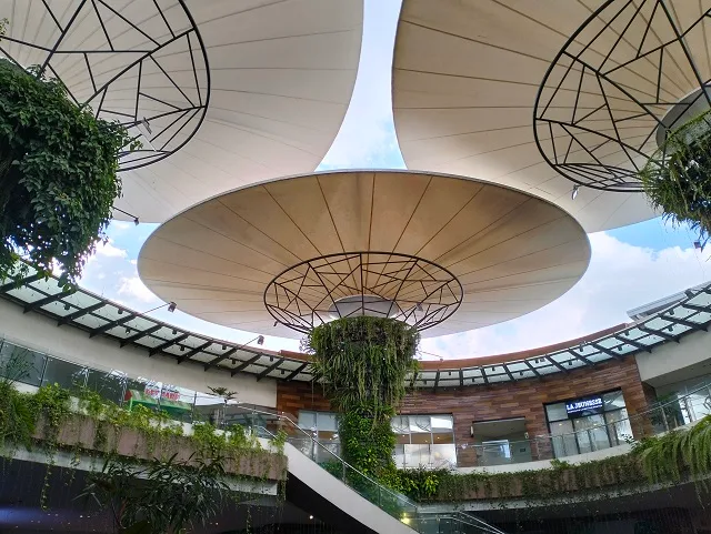 سعر oppo a96:مواصفات و سعر اوبو a96 في مصر 256 جيجا 5G 25 IMG20220529152659