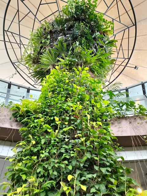 سعر oppo a96:مواصفات و سعر اوبو a96 في مصر 256 جيجا 5G 27 IMG20220529152914