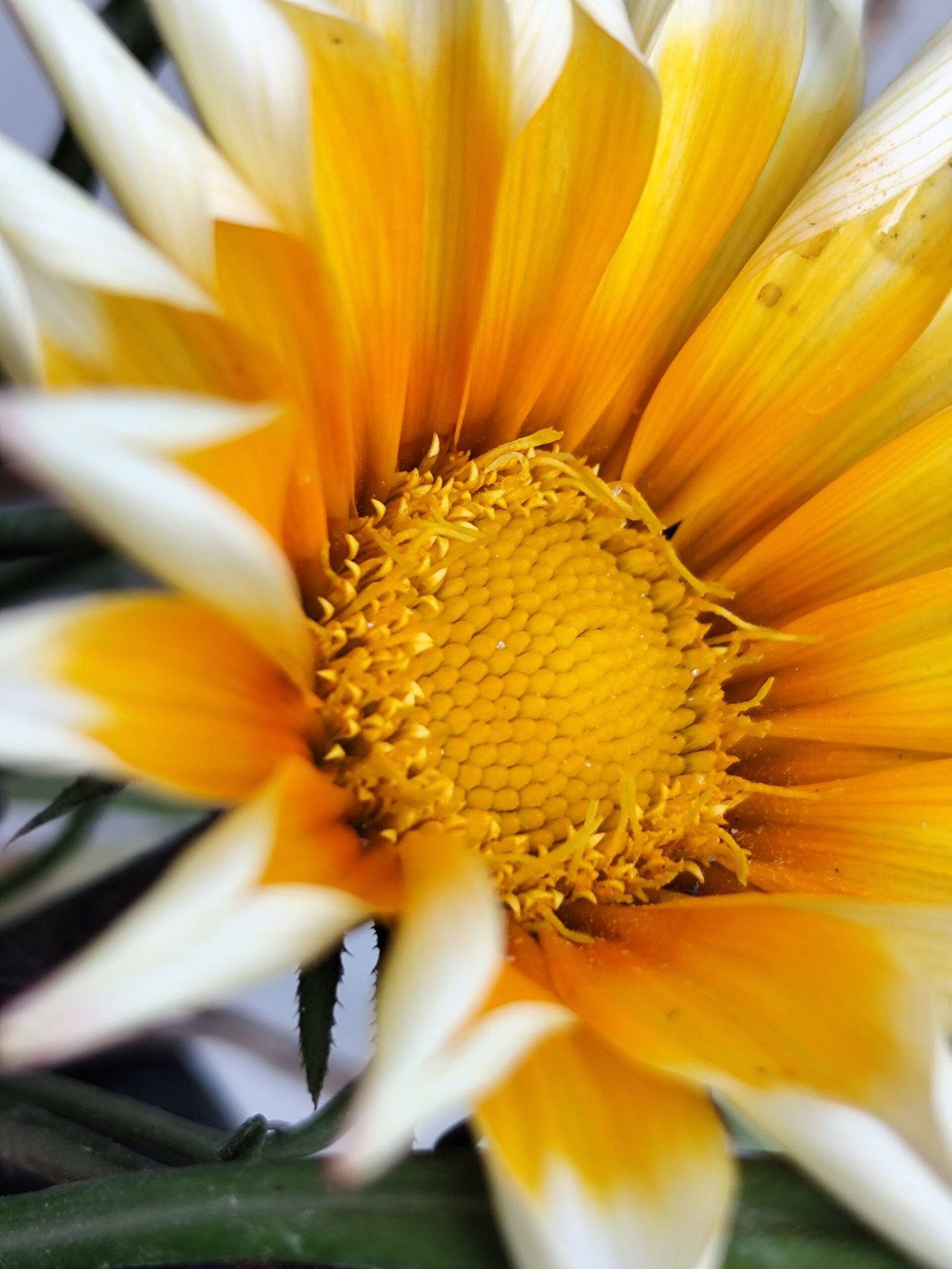 سعر ريدمي نوت 13 برو 5g: مواصفات redmi note 13 pro 18 IMG 20240209 141252 2ddb9da77b scaled