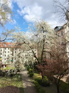 سعر اوبو رينو 7 في مصر 5G: مواصفات Oppo Reno 7 و عيوبه 18 NextPit Oppo Reno 7 4G main camera 64MP test day scaled 1