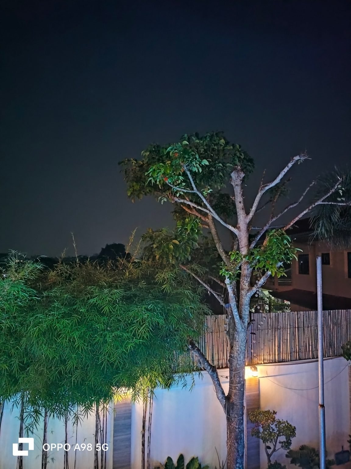 سعر اوبو a98 في مصر: المواصفات الكاملة 20 Night Zoom 1 oppo a98 5g review sample photos 20230915 1152x1536 1