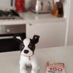 سعر و مواصفات Oppo Reno 13 F 5G - سعر Oppo Reno13 F 23 OPPO R13F bokeh 768x981 1