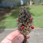 سعر و مواصفات سامسونج a56: المراجعة الكاملة 20 PqFaPqibfVwok6PEbyeQfH 1200 80.jpg