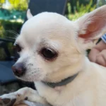 سعر سامسونج a21s في مصر, السعودية...: مواصفاته و عيوبه 16 Samsung Galaxy A21s Review008 4 normal samples