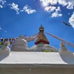 مواصفات و سعر فيفو v40: مميزات و عيوب vivo v40 7 Vivo V40 Daylight 1