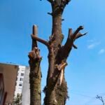 سعر vivo v40 lite:مواصفات, عيوب و سعر فيفو v40 لايت 15 Vivo V40 Lite Daylight 1