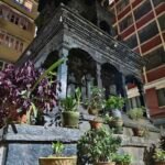 مواصفات و سعر فيفو v40: مميزات و عيوب vivo v40 36 Vivo V40 Night Mode Off 6