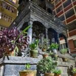 مواصفات و سعر فيفو v40: مميزات و عيوب vivo v40 35 Vivo V40 Night Mode On 6