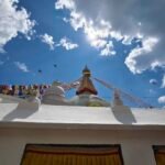 مواصفات و سعر فيفو v40: مميزات و عيوب vivo v40 6 Vivo V40 Ultrawide 1