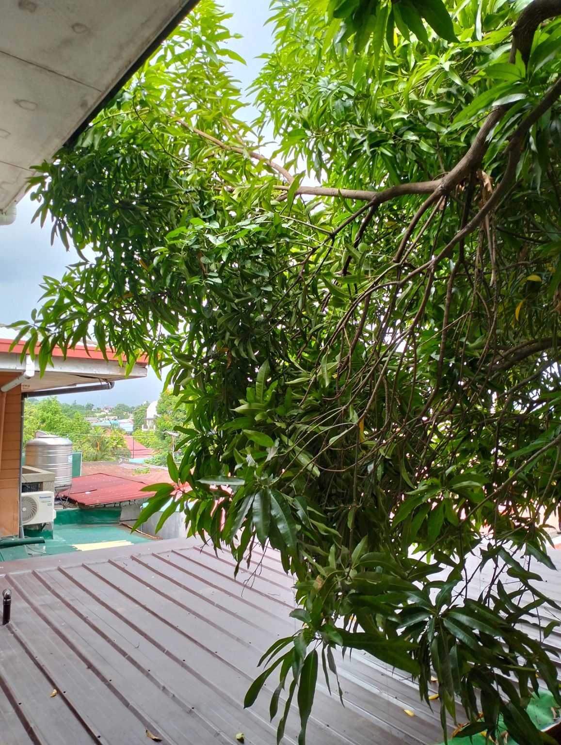 سعر oppo a96:مواصفات و سعر اوبو a96 في مصر 256 جيجا 5G 7 سعر اوبو a96