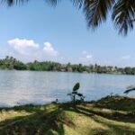 سعر ريلمي 12 برو: مواصفات Realme 12 Pro 22 gsmarena 001 4