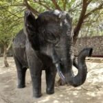 سعر ريلمي 12 برو: مواصفات Realme 12 Pro 24 gsmarena 005