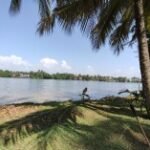 سعر ريلمي 12 برو: مواصفات Realme 12 Pro 28 gsmarena 007