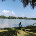 سعر ريلمي 12 برو: مواصفات Realme 12 Pro 34 gsmarena 013