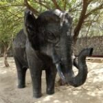 سعر ريلمي 12 برو: مواصفات Realme 12 Pro 36 gsmarena 017 1