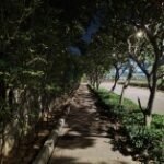 سعر ريلمي 12 برو: مواصفات Realme 12 Pro 39 gsmarena 020